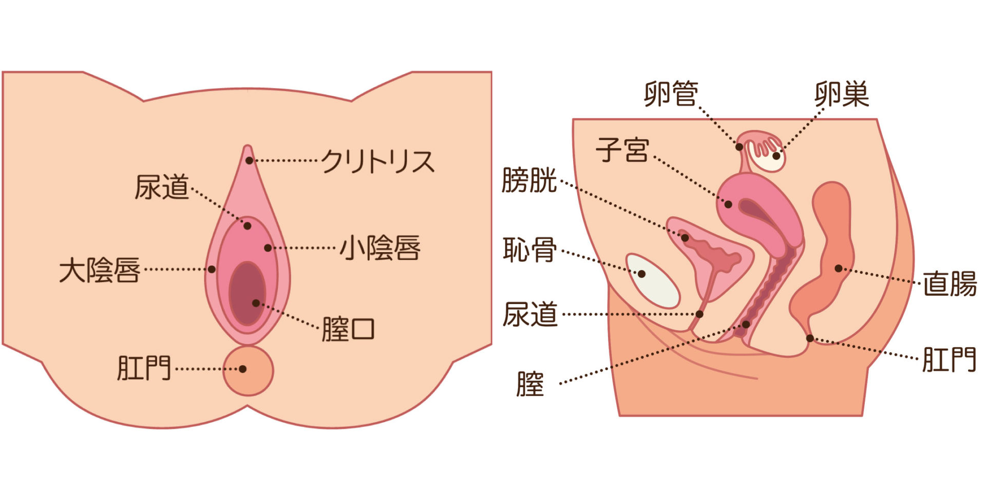 しょうけい こんじろ ー ま